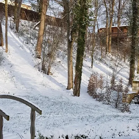 Les Mathieux La Cabane Du Parc Bongheat Exterior photo