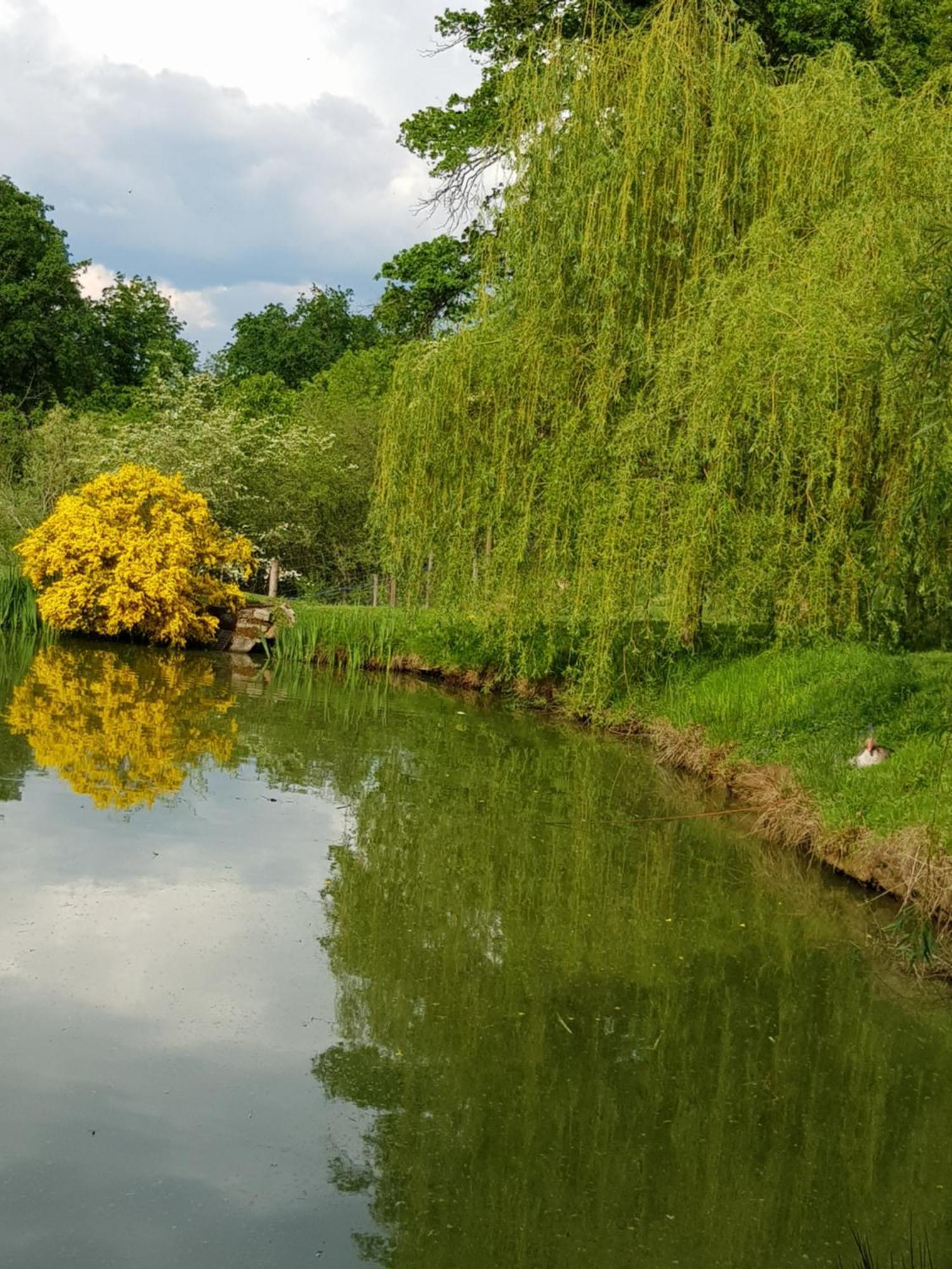 Les Mathieux La Du Parc Bongheat